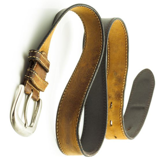 картинка Астра Дженни кустарниковая от магазина Одежда+