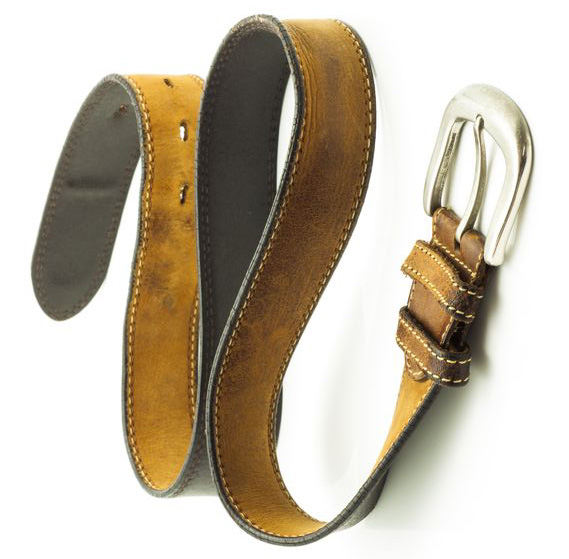 картинка Астра Дженни кустарниковая от магазина Одежда+